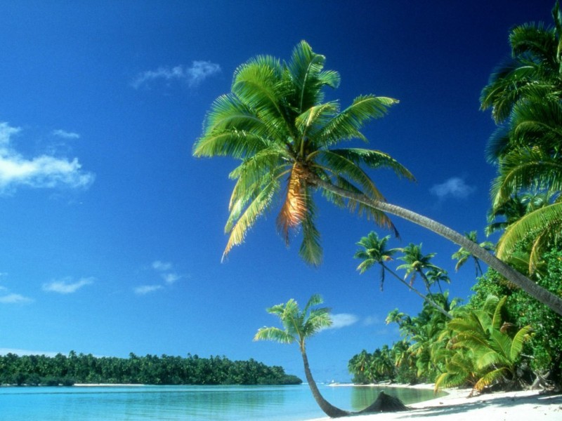 tropical-beach-wallpaper-copie