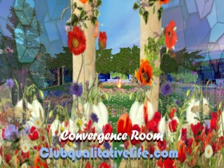 Convergence-Clubqualitativelife
