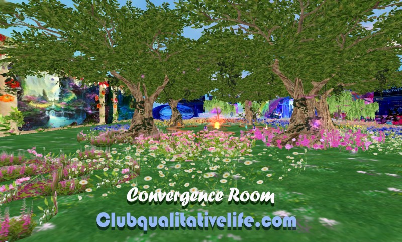 convergence-clubqualitativelife-2