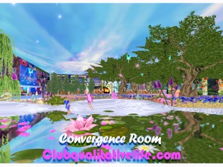 Convergence-Clubqualitativelife