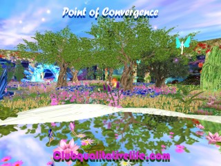 point of convergence 14