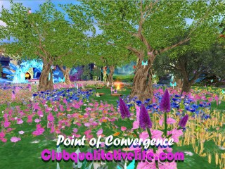 point of convergence 15a