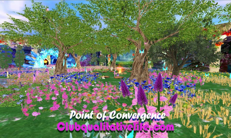 point-of-convergence-15a-2