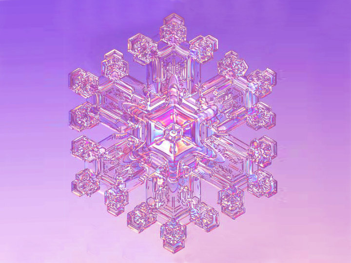 25994_1277318251316_5836000_n