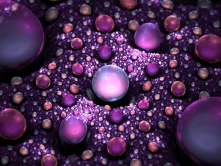 298384_2221227008445_664616293_n