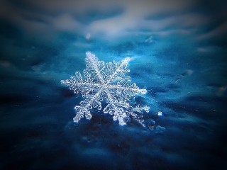 99843f9b290e3acdfdcd0c8628c60187