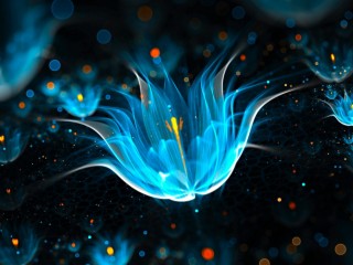 a37433436cb36faa9bb8c5bb3ec86c03