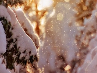 ba00f98292e4adfedcfcd1cff89e7e54