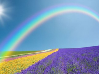 e0d39c95f6e50502897451c4e38b2fba-500