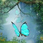 butterfly-magic