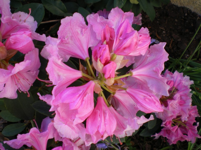 005-3