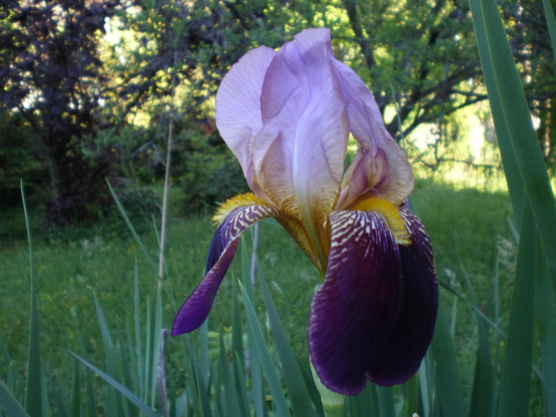 049