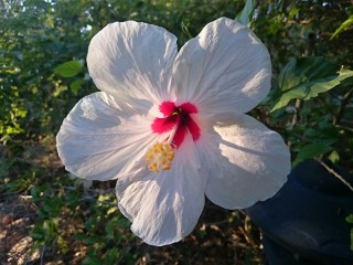 IMG-20160930-WA0001
