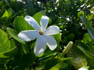 IMG-20170112-WA0000