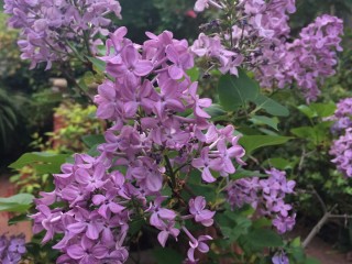 IMG-20171009-WA0020