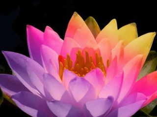 285131_10150333617506438_525836437_9953237_4670708_n (1)