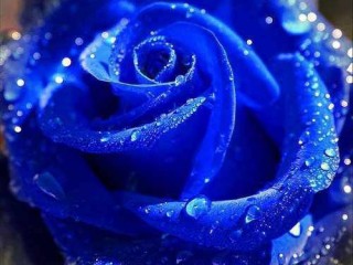 285418_226860600686335_104941646211565_661473_2537094_n