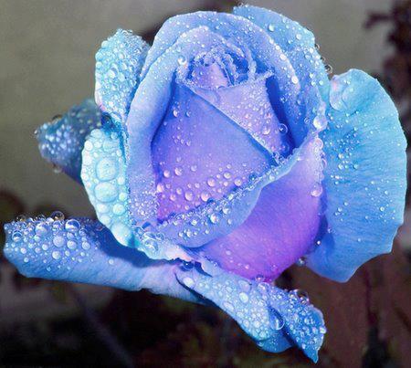 559583_328344153888976_323600794363312_895383_1713003799_n