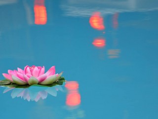 11754910_10153570582859575_2671250021564256837_o