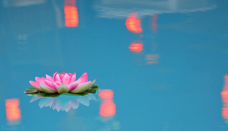 11754910_10153570582859575_2671250021564256837_o