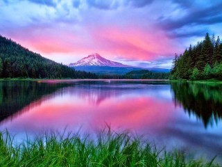 14115423_1637247876535747_92246887267511255_o