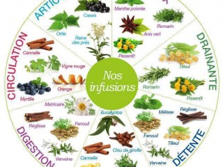 15622535_671706589676956_367161895307040565_n