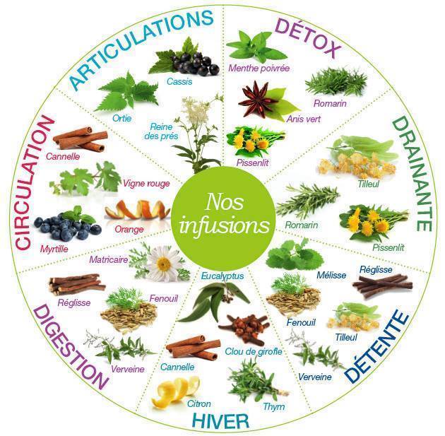 15622535_671706589676956_367161895307040565_n