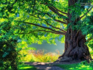 29a7e248c4419908094c1a987b04b27d6d222dba30da7f10fb42719d92a384ca