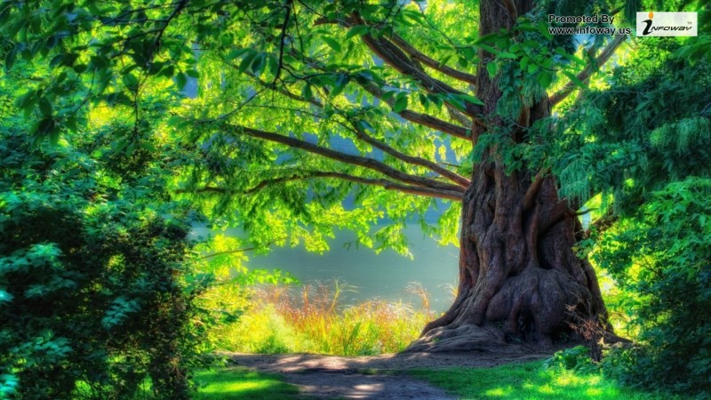 29a7e248c4419908094c1a987b04b27d6d222dba30da7f10fb42719d92a384ca