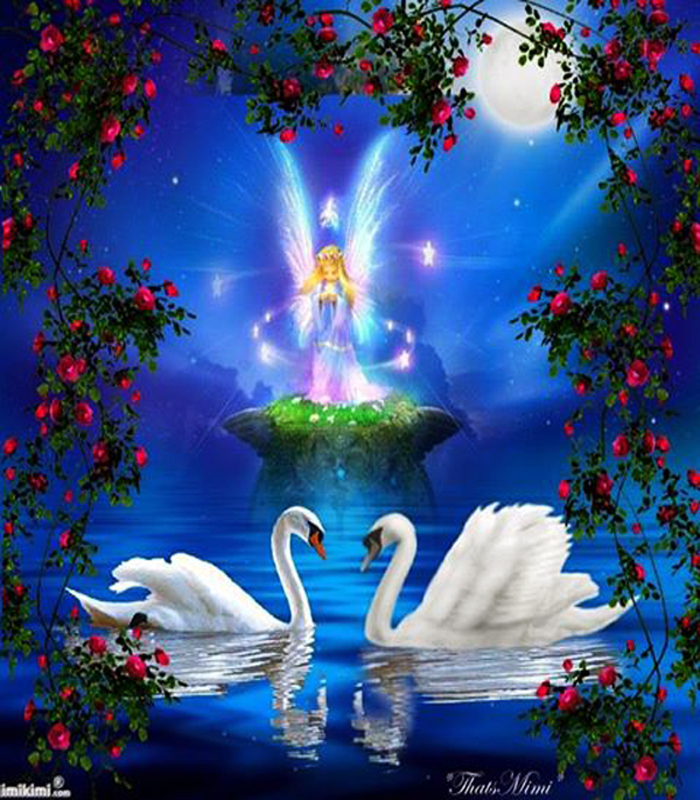 101_0-87157100-1427389649_1450322_425001827603146_1214358523_n