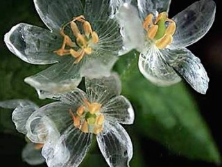 10308074_647759298667589_2849084221749335883_n