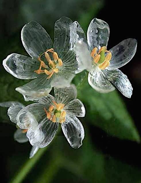 10308074_647759298667589_2849084221749335883_n