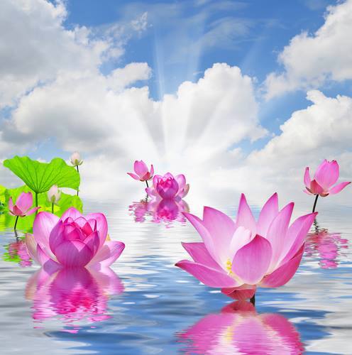 11659416_492709694231391_4173873624569793990_n