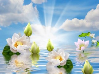 11666307_491761967659497_1259857067453653415_n