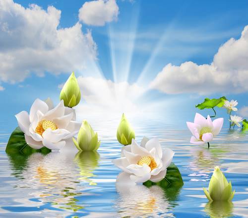 11666307_491761967659497_1259857067453653415_n