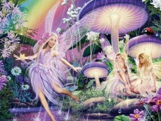 11884661_893637077394406_4678048638172014588_o