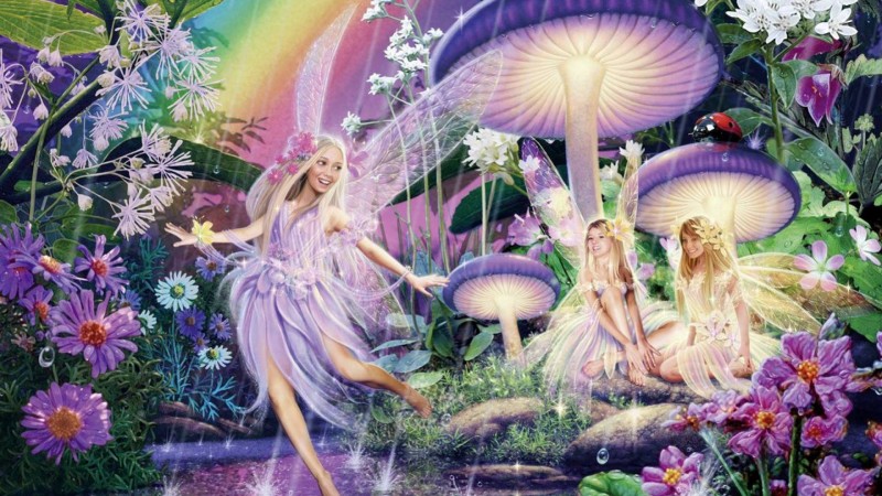 11884661_893637077394406_4678048638172014588_o