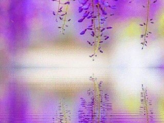 13475147_236145806770479_9007850814941499009_o_proc