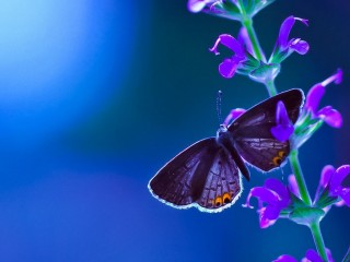 13641170_1210754675641898_4602121726143696734_o