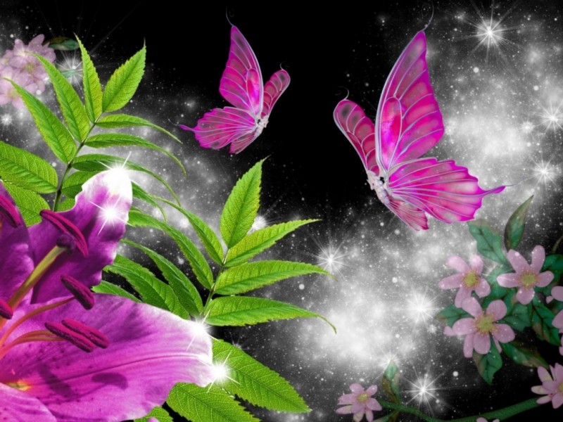 1400x1050_precious-pink-lily