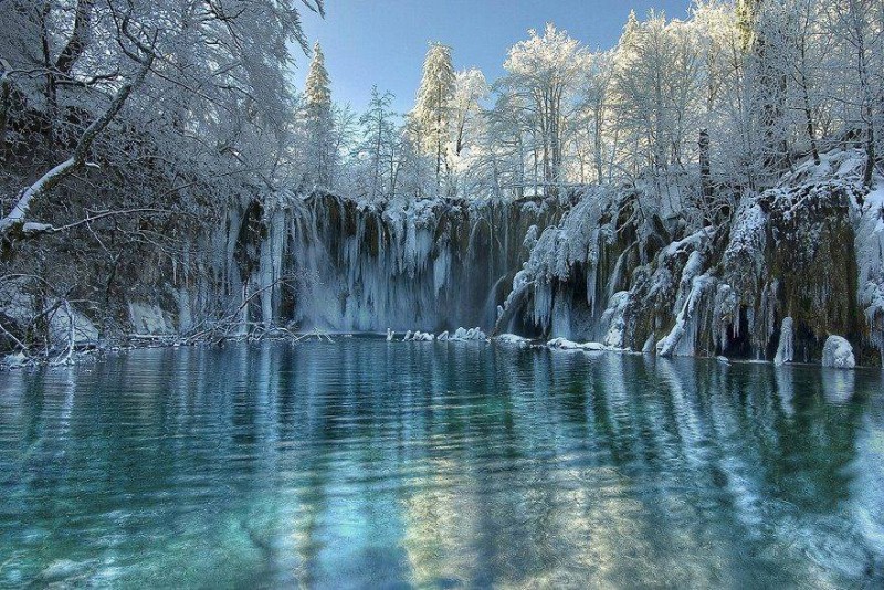 1424260_585715028150635_1228262372_n