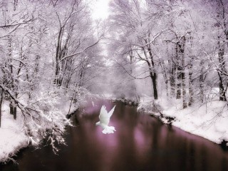 1453517_585717681483703_687409755_n