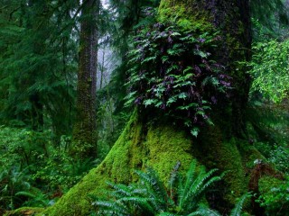 15194373_1332083933508971_2580422818041188413_o