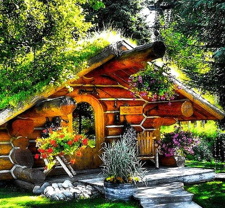 17426199_1887303451554995_6982730252630744223_n