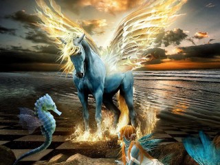 17599_228308157294509_798891071_n