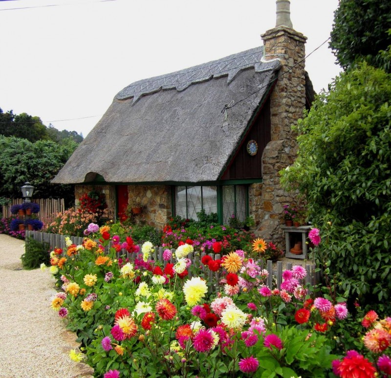 17760960_1896998033918870_329237526109118364_o