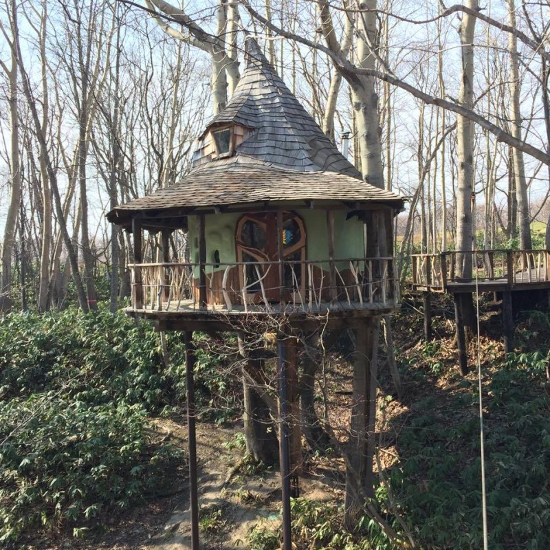 18010579_1813376162009470_9153852271195030398_n