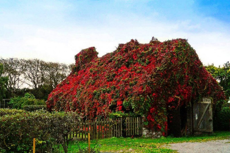 18056609_1820624777951275_3755416776515644202_o