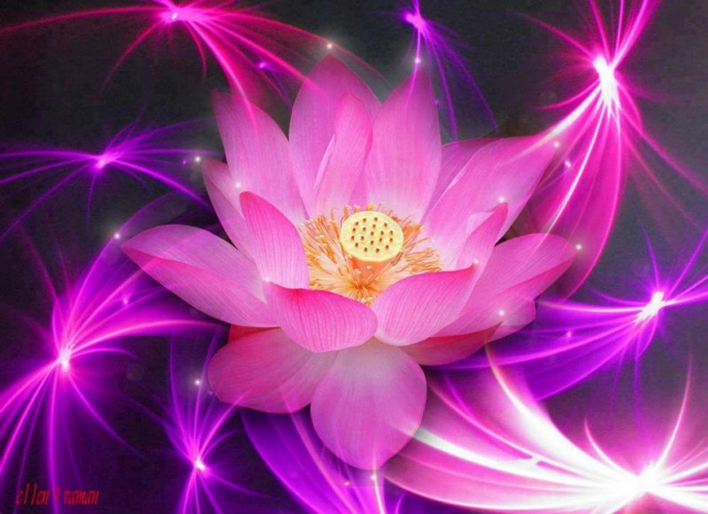 182159_386696784719128_1117803353_n