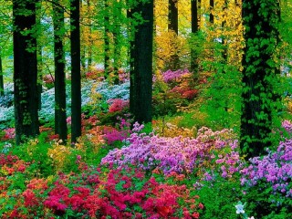 18738418_1535269199857109_3108141333438031050_o_proc